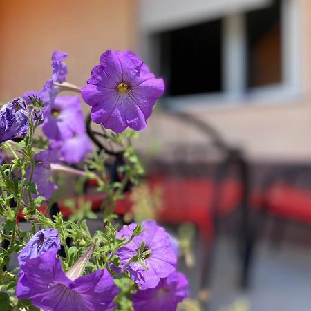 Apartment Sanjo Μόσταρ Εξωτερικό φωτογραφία